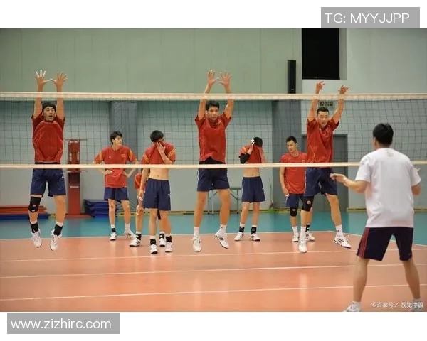 杭州排球队团队协作的独特优势与其他球队的深度对比分析