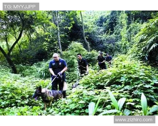 重庆排球队个人能力深度分析与发展潜力探讨 重庆排球队个人能力深度分析与发展潜力探讨