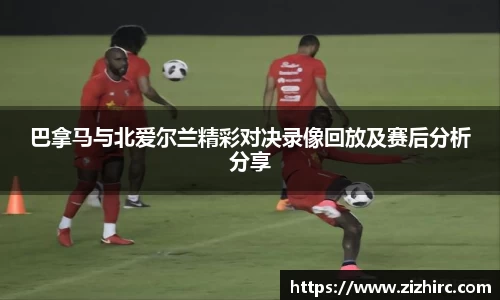 今年会|官方网站
