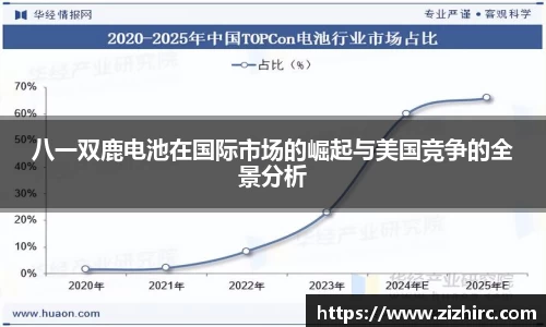 八一双鹿电池在国际市场的崛起与美国竞争的全景分析